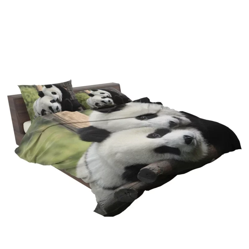 Panda Cute Animal Bedding Set 2