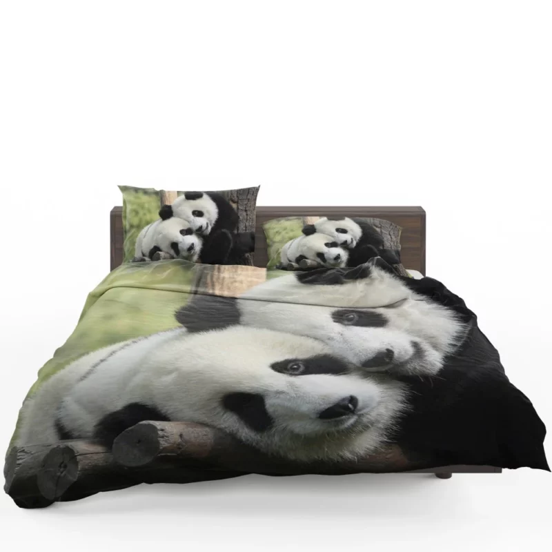 Panda Cute Animal Bedding Set