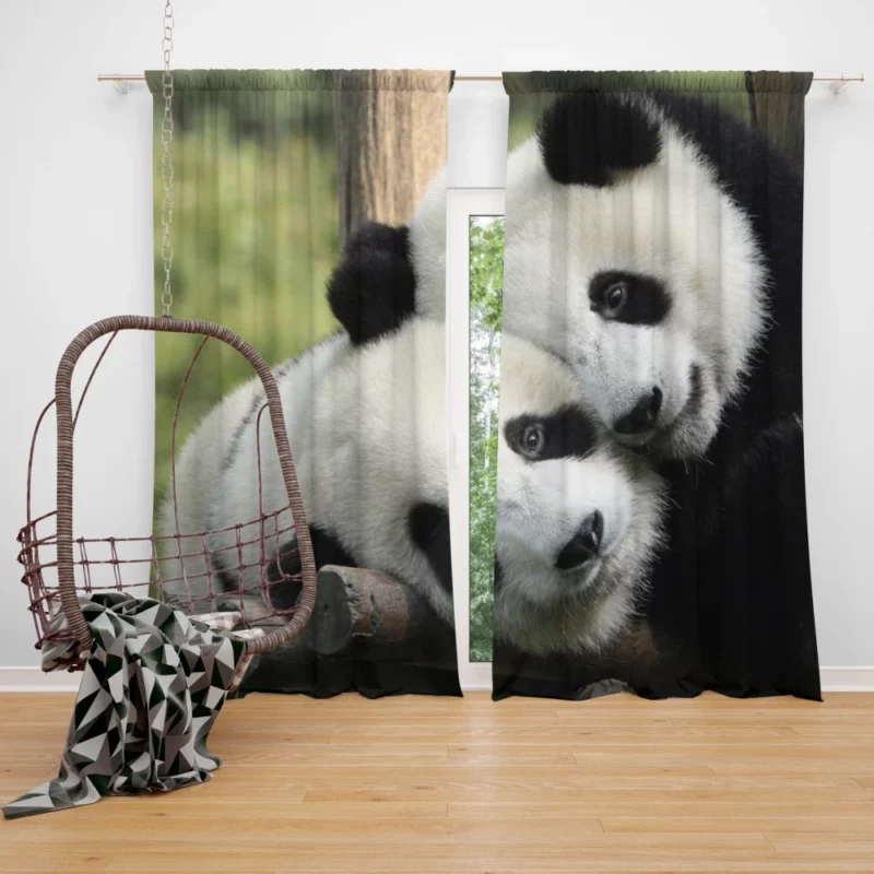 Panda Cute Animal Curtain