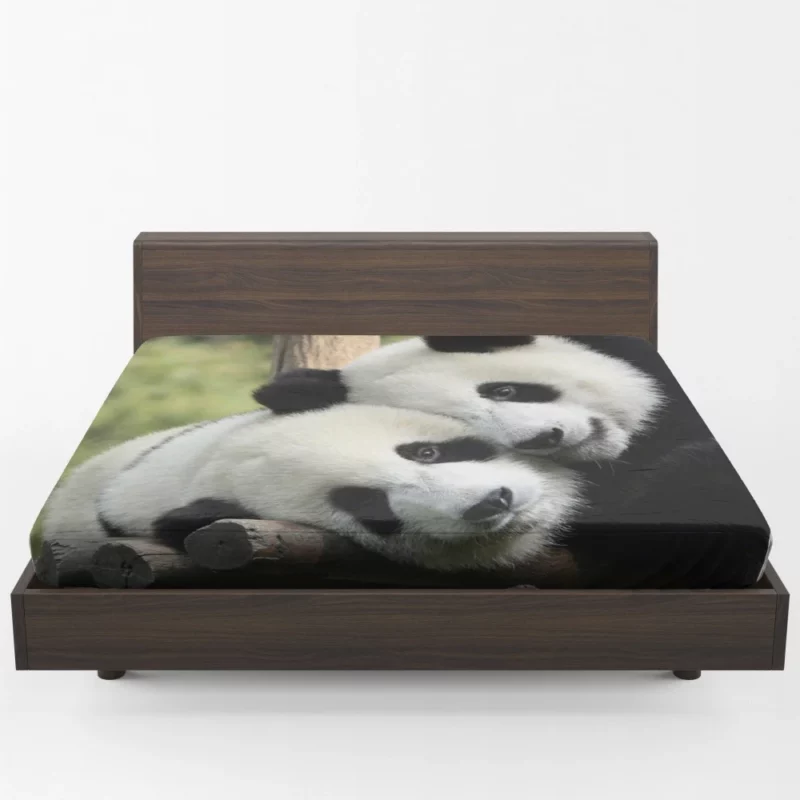 Panda Cute Animal Fitted Sheet