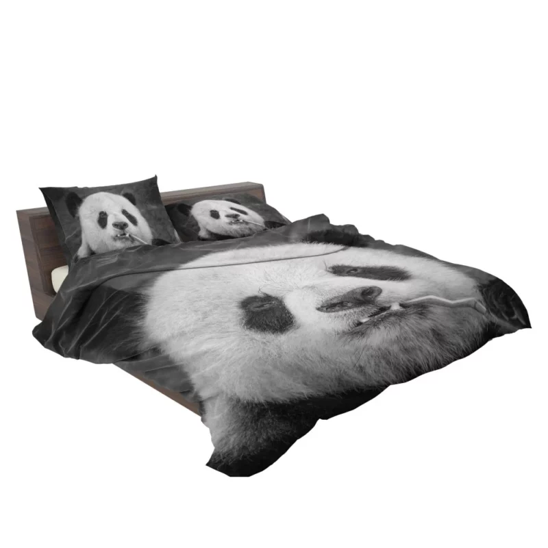 Panda Monochrome Majesty Panda Love Bedding Set 2