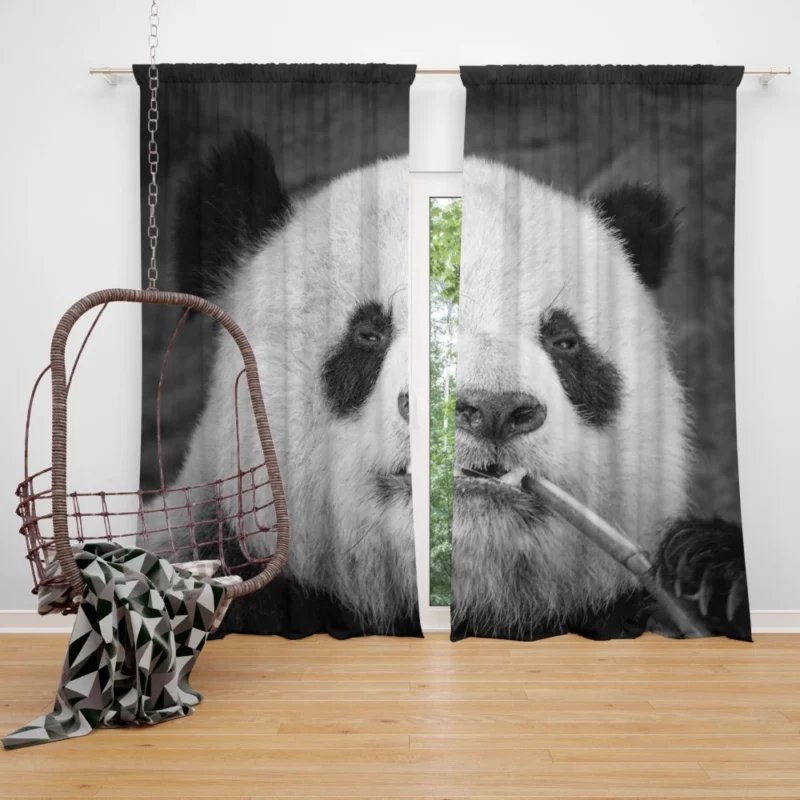 Panda Monochrome Majesty Panda Love Curtain