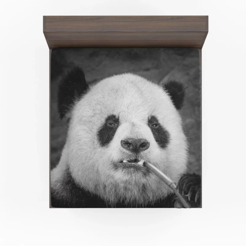 Panda Monochrome Majesty Panda Love Fitted Sheet 1