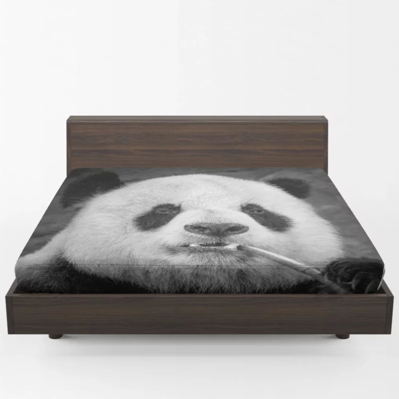 Panda Monochrome Majesty Panda Love Fitted Sheet