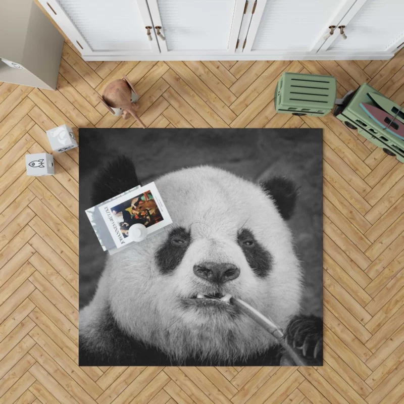 Panda Monochrome Majesty Panda Love Rug