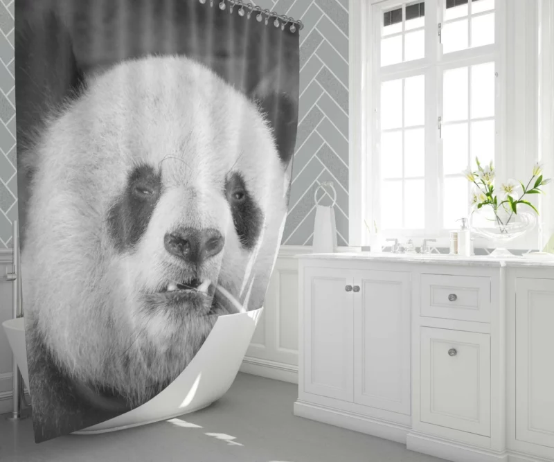 Panda Monochrome Majesty Panda Love Shower Curtain 1