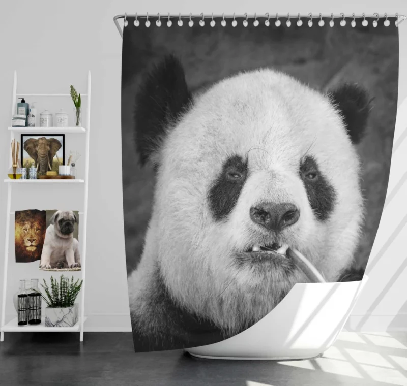 Panda Monochrome Majesty Panda Love Shower Curtain