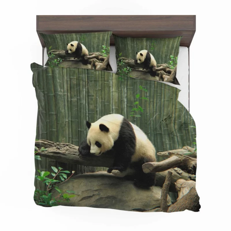 Panda Playful Charm Zoo Delight Bedding Set 1