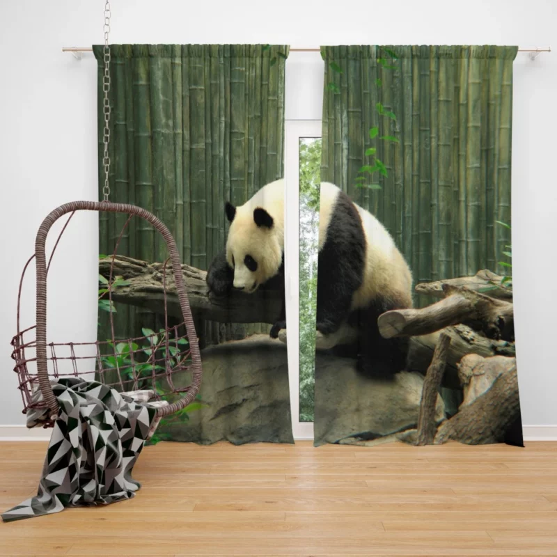 Panda Playful Charm Zoo Delight Curtain