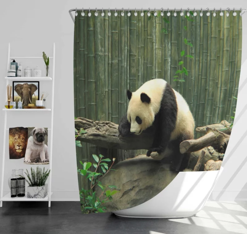 Panda Playful Charm Zoo Delight Shower Curtain