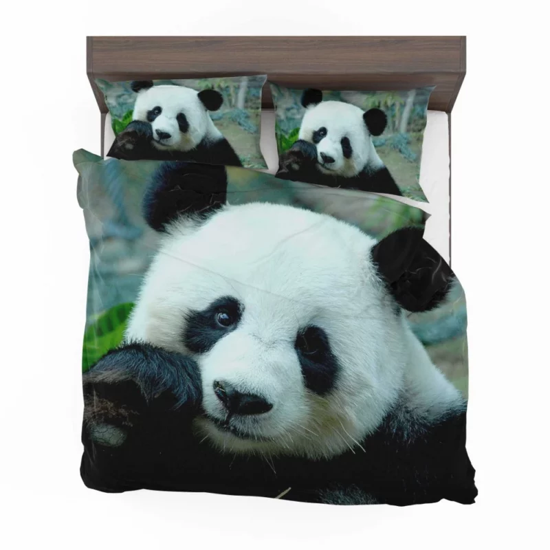 Panda Serenity Gentle Giants Bedding Set 1