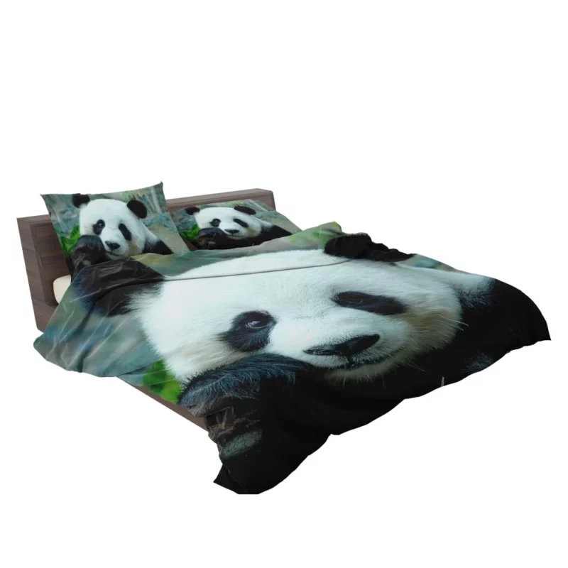 Panda Serenity Gentle Giants Bedding Set 2