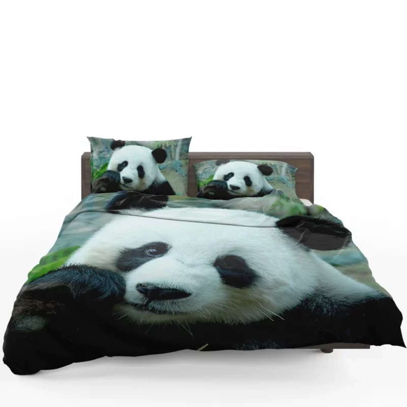 Panda Serenity Gentle Giants Bedding Set