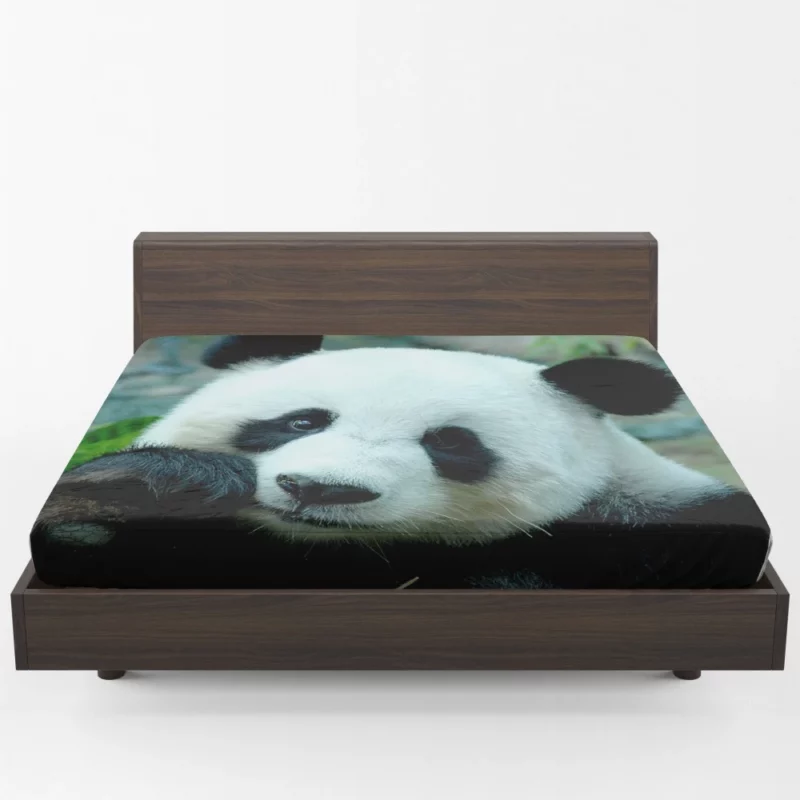 Panda Serenity Gentle Giants Fitted Sheet