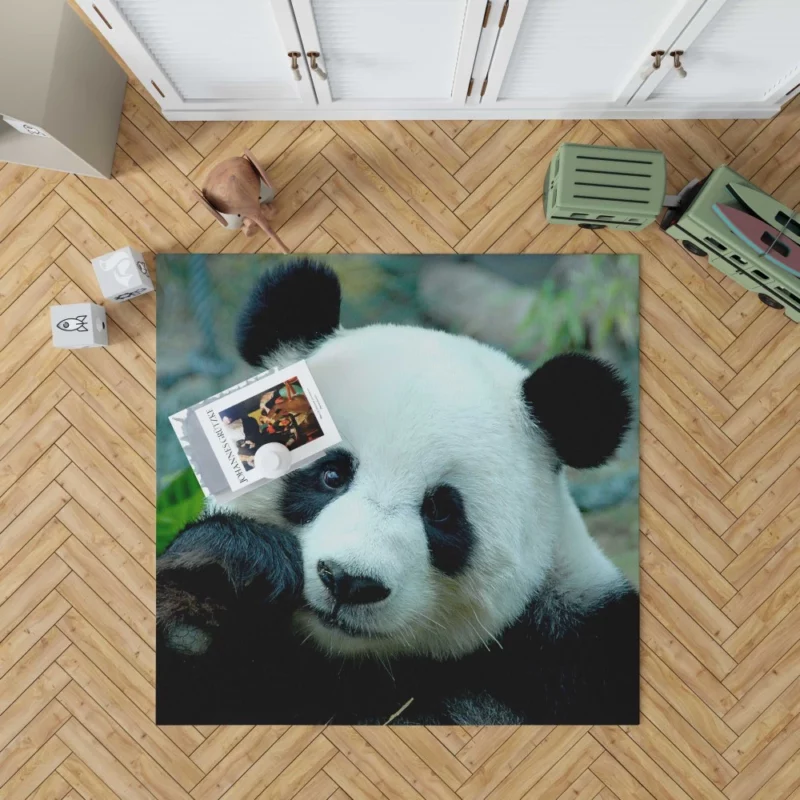 Panda Serenity Gentle Giants Rug