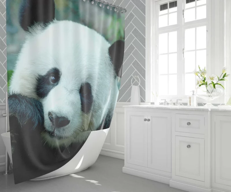 Panda Serenity Gentle Giants Shower Curtain 1