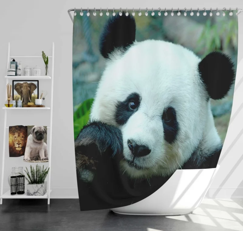 Panda Serenity Gentle Giants Shower Curtain