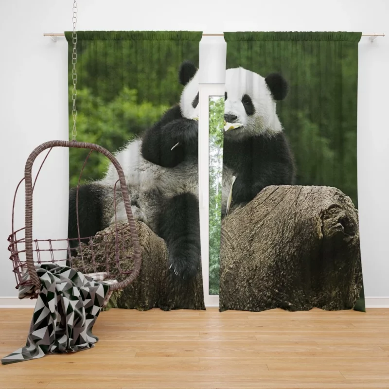 Panda Splendor Nature Gem Curtain