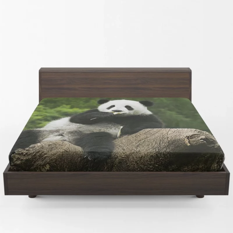 Panda Splendor Nature Gem Fitted Sheet