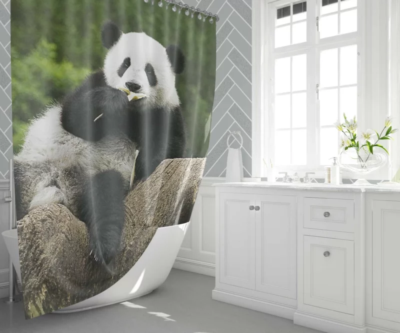 Panda Splendor Nature Gem Shower Curtain 1