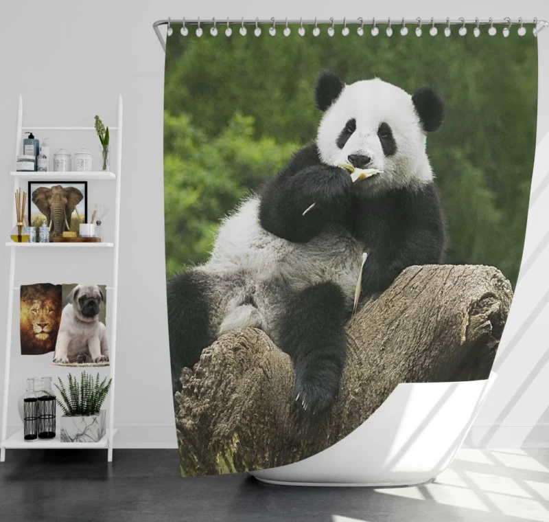 Panda Splendor Nature Gem Shower Curtain