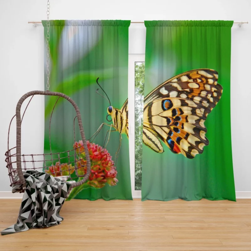 Pastel Butterfly Nature Palette Curtain