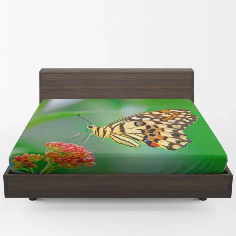 Pastel Butterfly Nature Palette Fitted Sheet