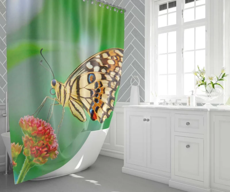 Pastel Butterfly Nature Palette Shower Curtain 1