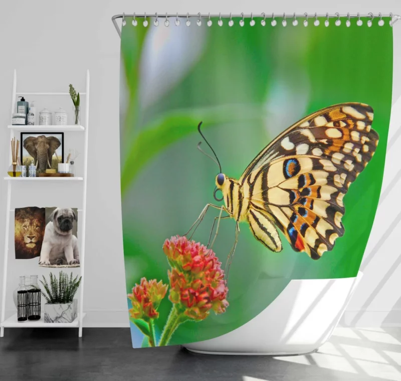 Pastel Butterfly Nature Palette Shower Curtain