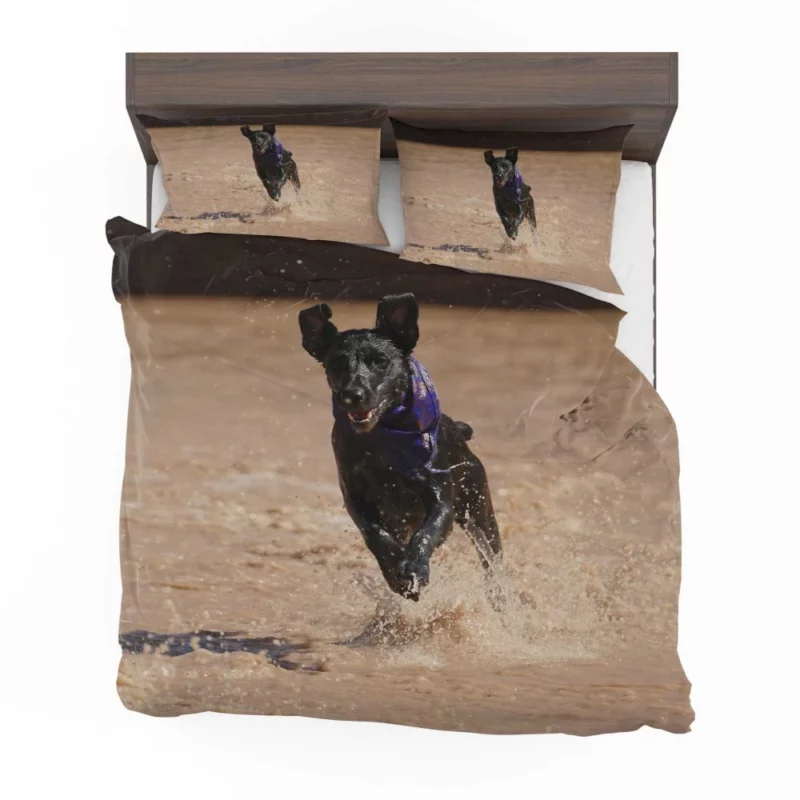 Patterdale Terrier Canine Charisma Bedding Set 1