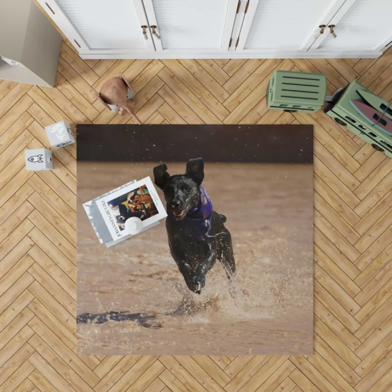 Patterdale Terrier Canine Charisma Rug