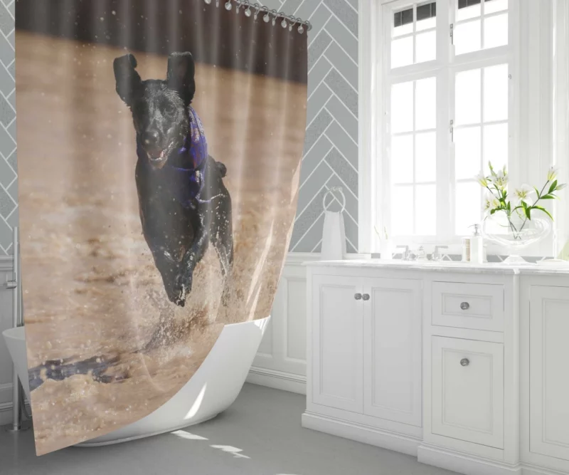 Patterdale Terrier Canine Charisma Shower Curtain 1