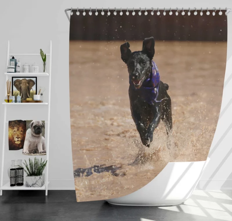 Patterdale Terrier Canine Charisma Shower Curtain