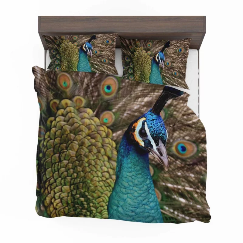 Peacock Colorful Display Nature Art Bedding Set 1