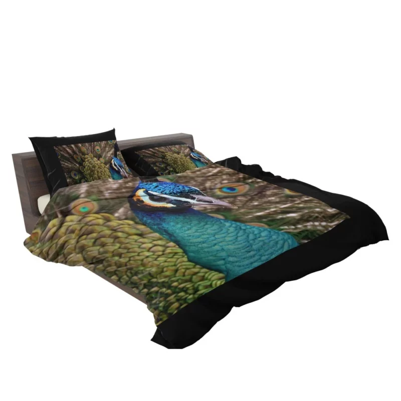 Peacock Colorful Display Nature Art Bedding Set 2