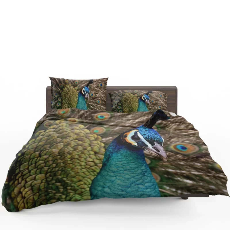 Peacock Colorful Display Nature Art Bedding Set