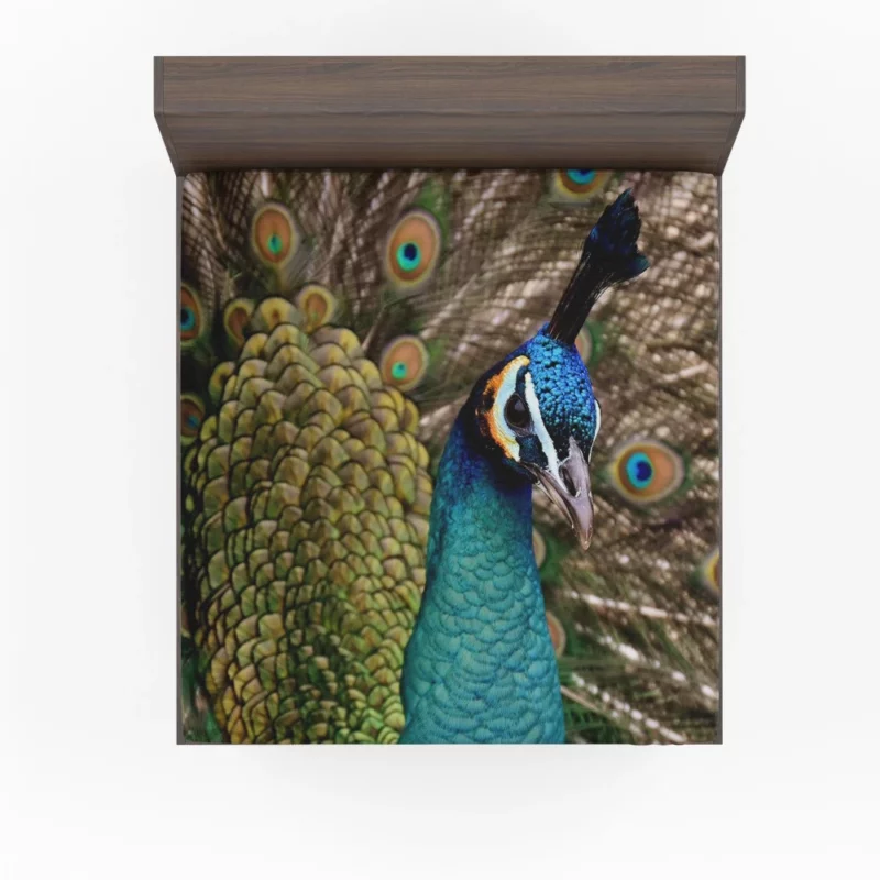 Peacock Colorful Display Nature Art Fitted Sheet 1