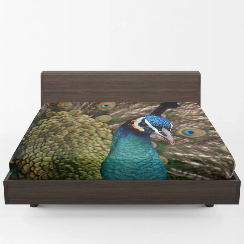 Peacock Colorful Display Nature Art Fitted Sheet