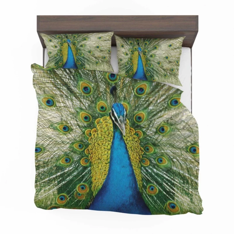 Peacock Dance Vibrant Beauty Bedding Set 1