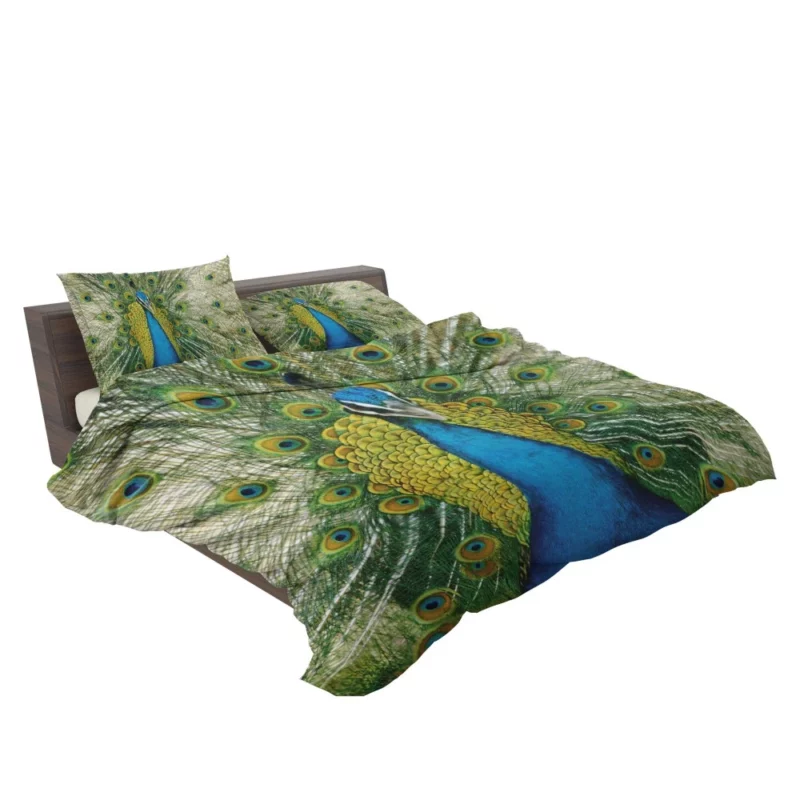 Peacock Dance Vibrant Beauty Bedding Set 2