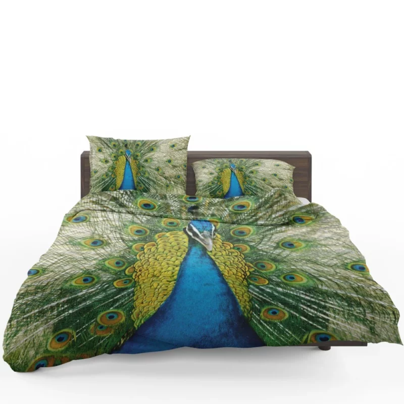 Peacock Dance Vibrant Beauty Bedding Set