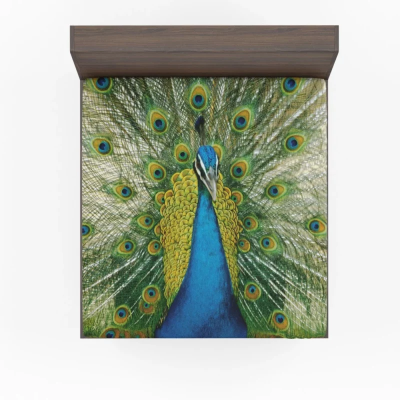 Peacock Dance Vibrant Beauty Fitted Sheet 1