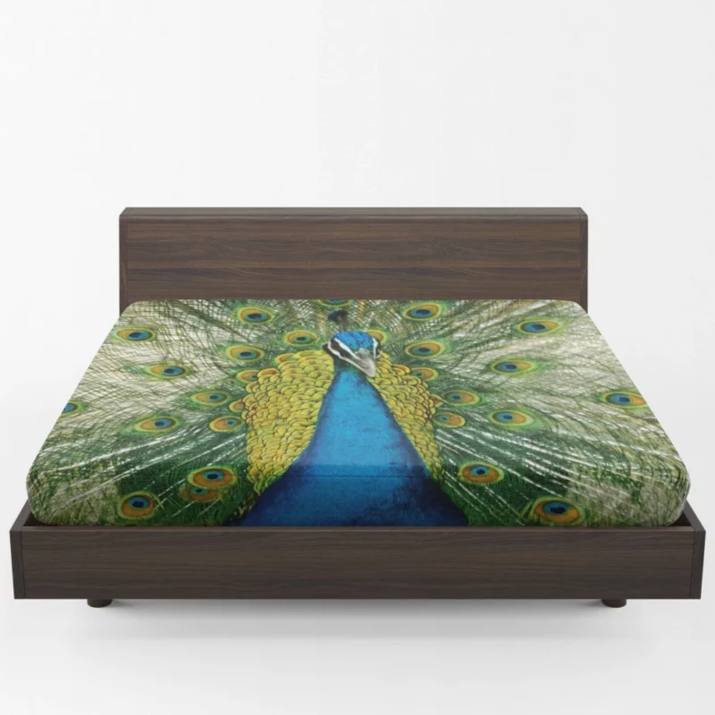 Peacock Dance Vibrant Beauty Fitted Sheet