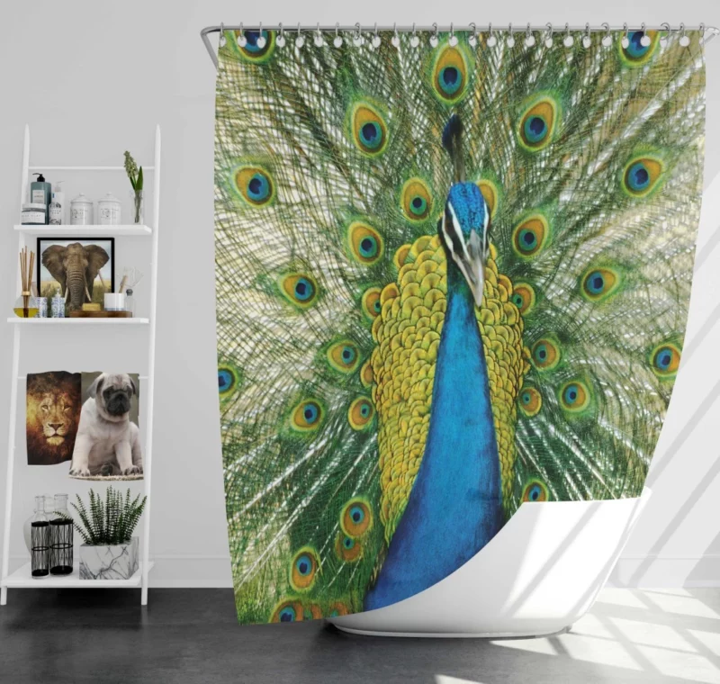 Peacock Dance Vibrant Beauty Shower Curtain