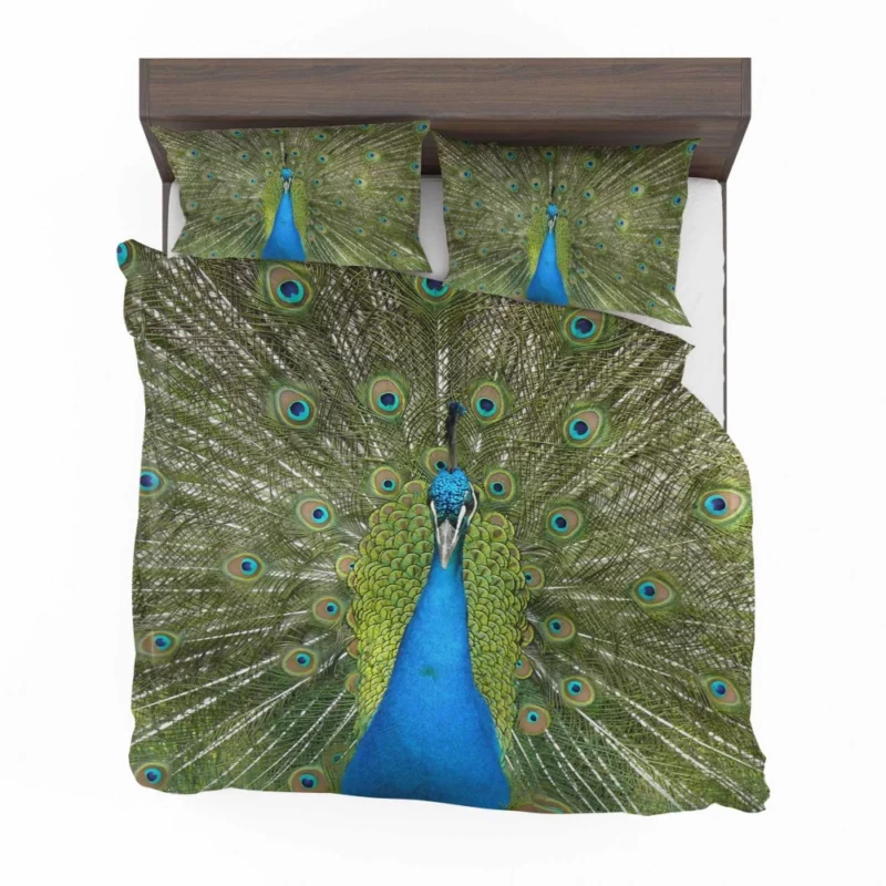 Peacock Dance Vibrant Elegance Bedding Set 1