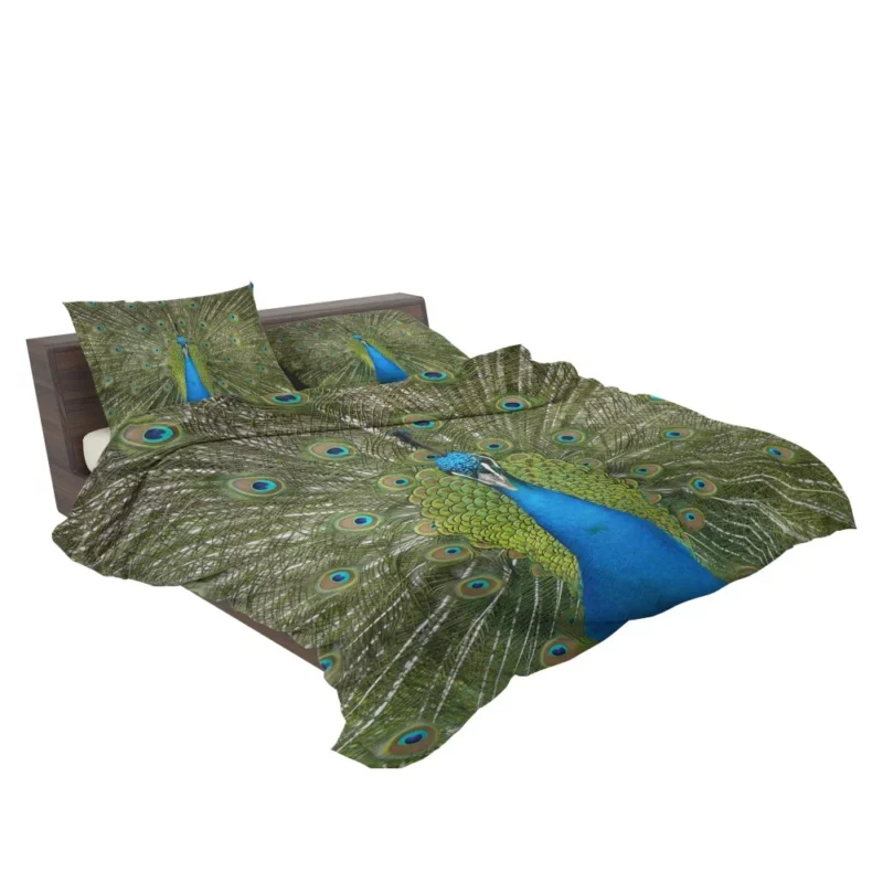 Peacock Dance Vibrant Elegance Bedding Set 2