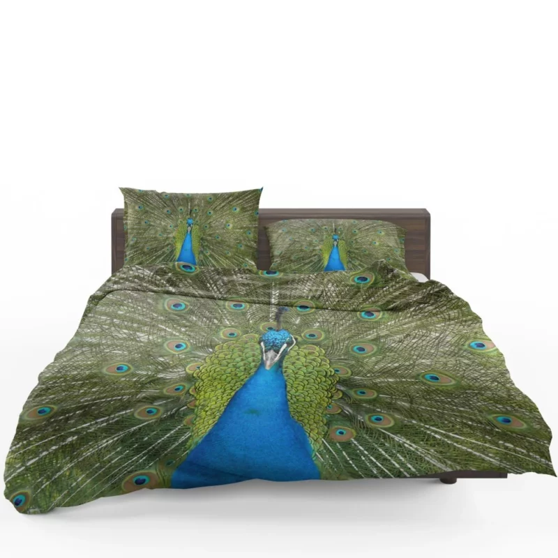 Peacock Dance Vibrant Elegance Bedding Set