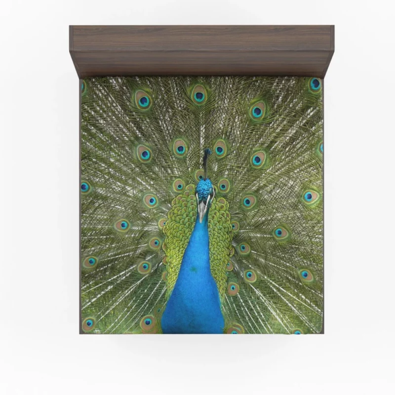 Peacock Dance Vibrant Elegance Fitted Sheet 1