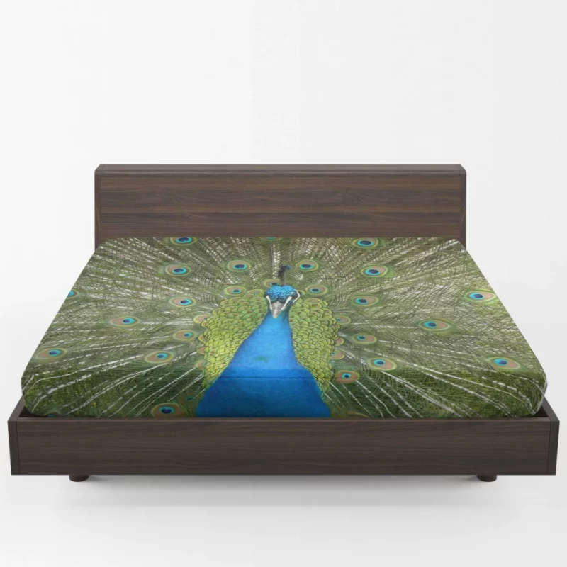 Peacock Dance Vibrant Elegance Fitted Sheet