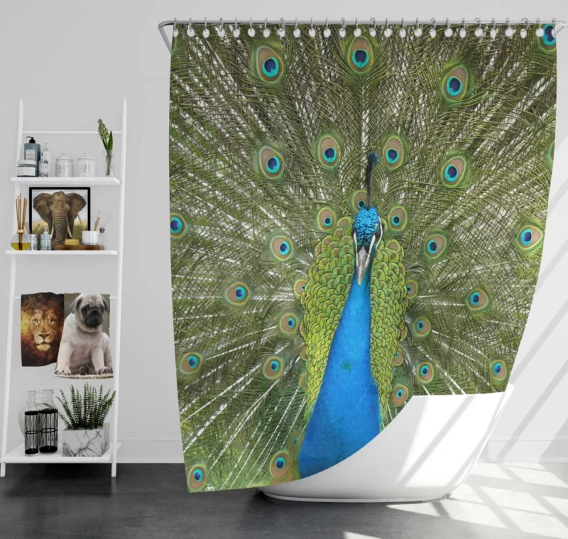 Peacock Dance Vibrant Elegance Shower Curtain